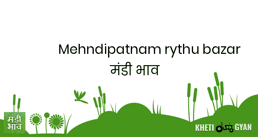 Mehndipatnam(Rythu Bazar) मंडी भाव की ताज़ा तस्वीर